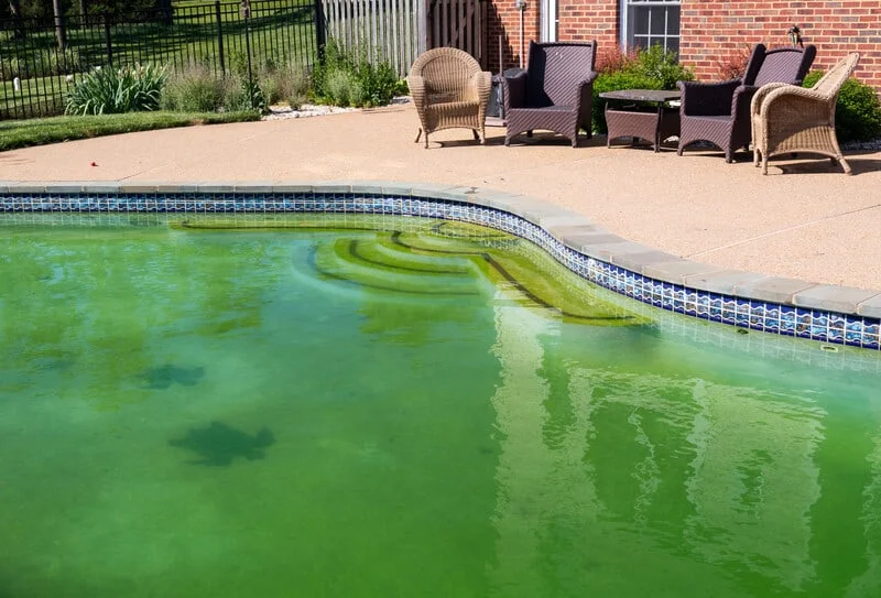 How to keep algae of your pool