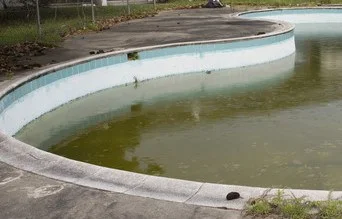 Help! My Pool Water is Green – Your Ultimate Guide to Pool Algae
