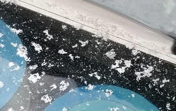 White Water Mold in Hot Tub